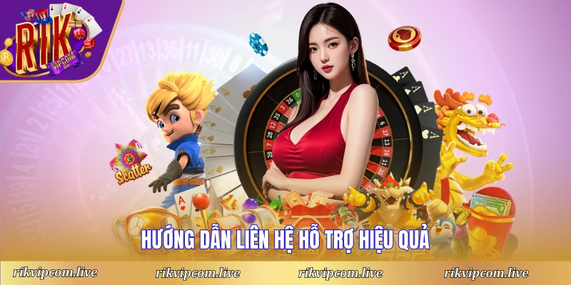 Hướng dẫn liên hệ hỗ trợ hiệu quả
